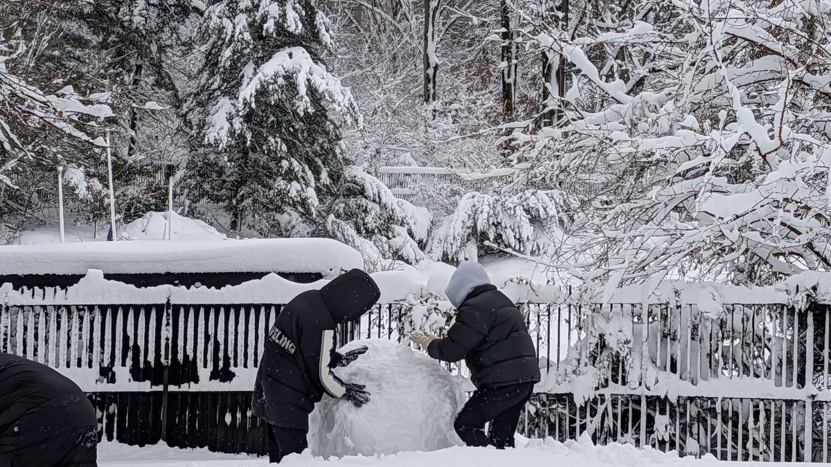 swettenderhool's tweet image. Angry bird.