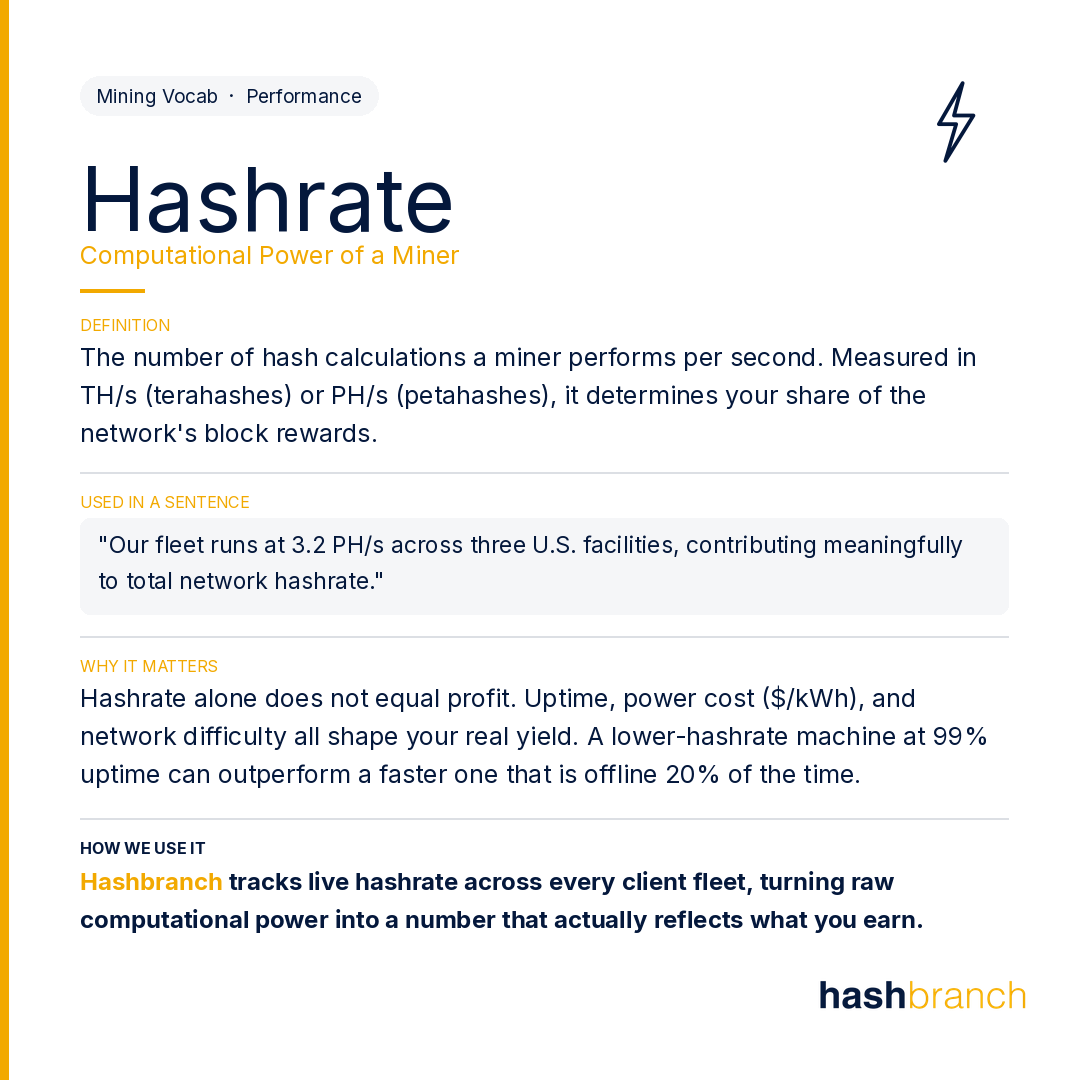 Hashbranch.com 🇺🇸 🟧⛏️ tweet media