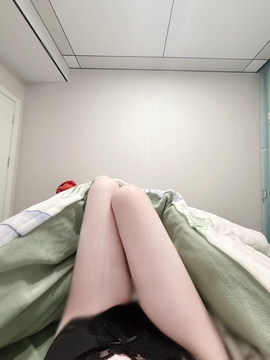 猫猫雨 tweet media