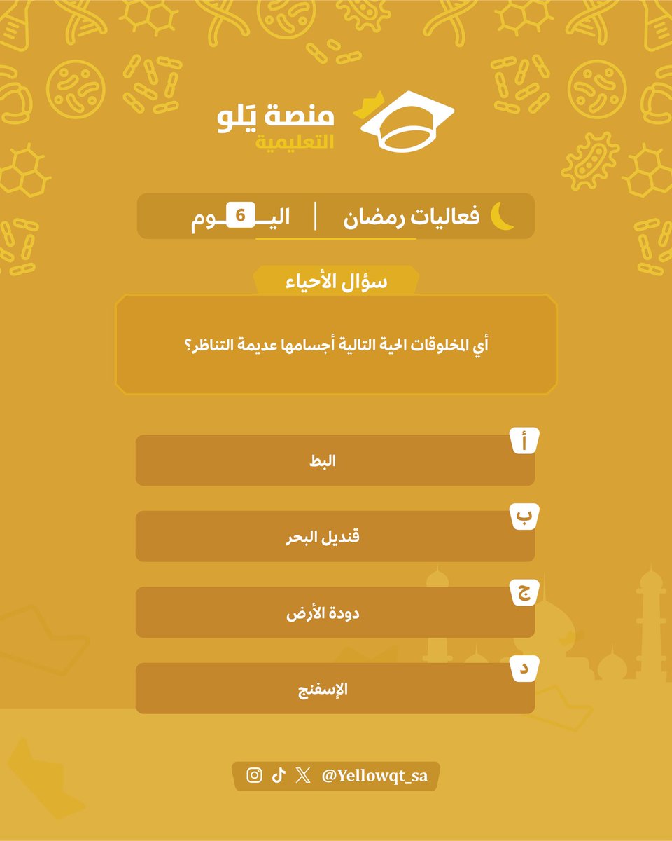 منصة يَلو التعليمية tweet media