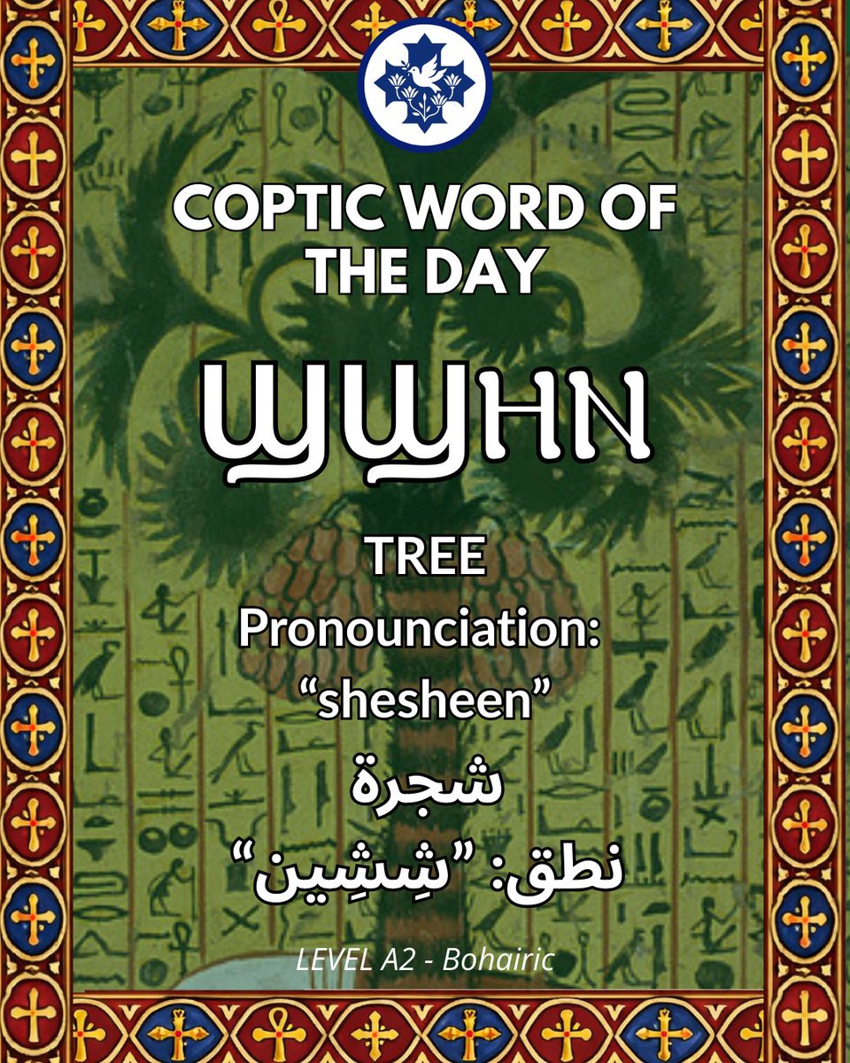 eremhi's tweet photo. ✝️ Coptic Word of the Day - ϢϢⲎⲚ ✝️
which means ‘Tree’, pronounced “shesheen”
وهذا يعني: شجرة.
”نطق: “شِشِين
#coptic #CopticChristians #copticlanguage #القبطية #اللغةالقبطية #مسيحية https://t.co/WjXErD0cGT
