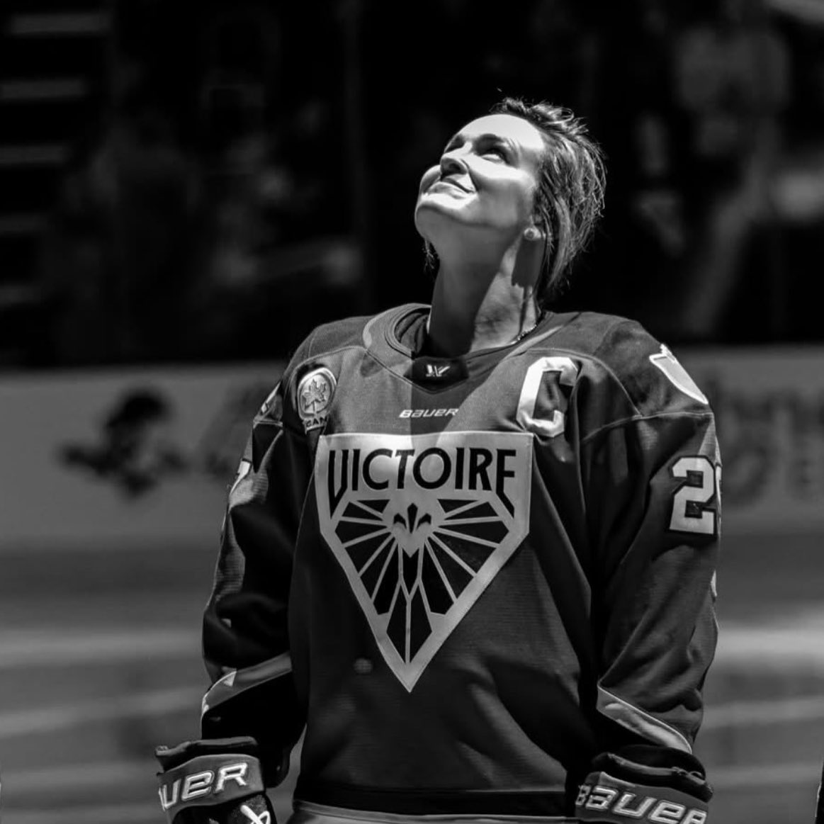 mpp daily tweet media