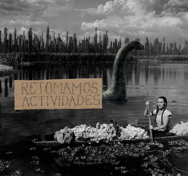 Peripheria Librería tweet media