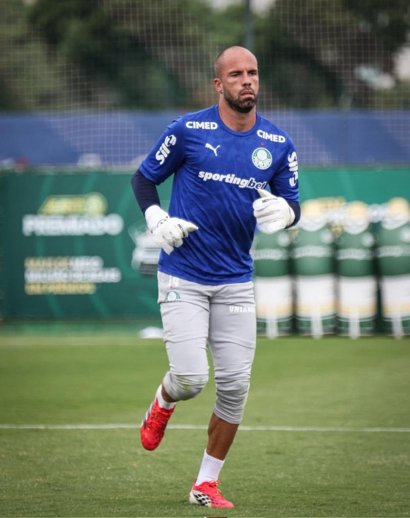 Planeta do Palmeiras 🌎 tweet media