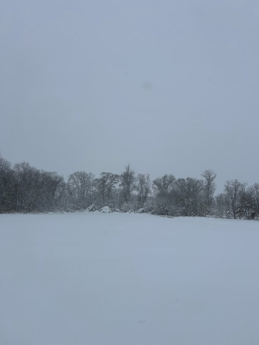 Keegan Fitzpatrick tweet media