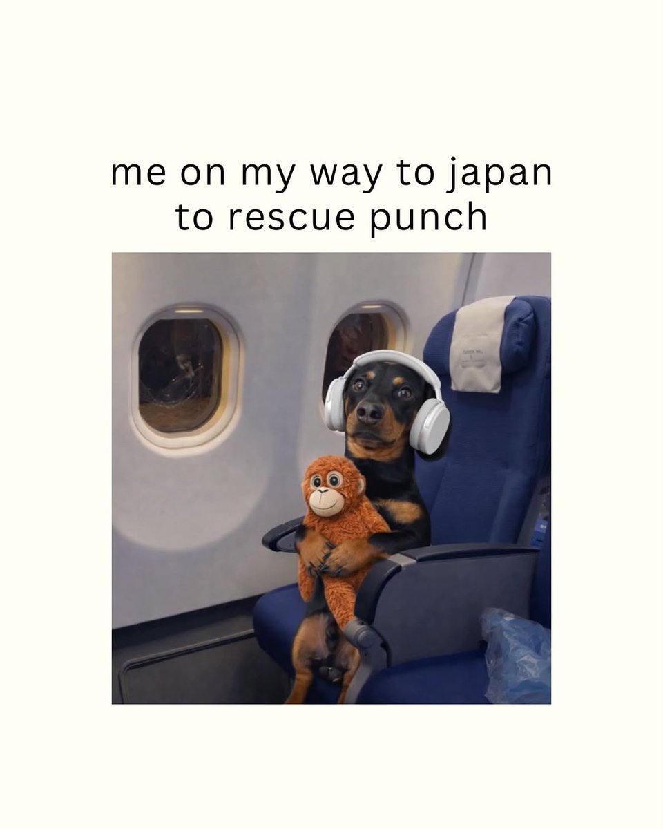 LaughSpill's tweet photo. @kkashi_yt https://t.co/52Wwh27Prq