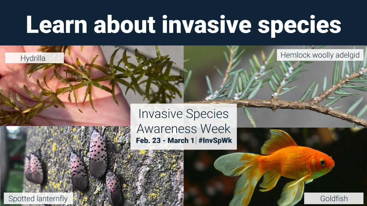 southnationca tweet media