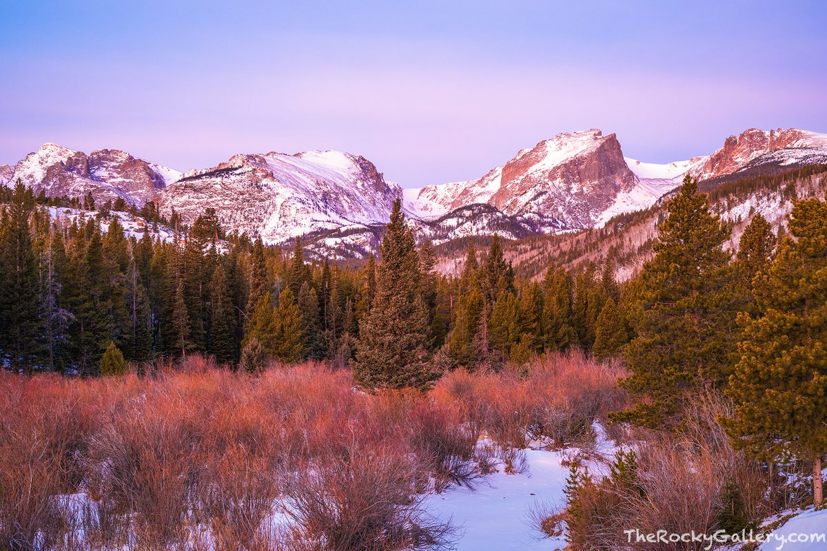 It's always a challenge finding color in the landscape this time of year in Rocky Mountain National Park. Willows always add a nice touch when combined with a subtle pre-sunrise glow over Taylor,Otis,Hallett and Flattop Peak from Glacier Creek this morning.