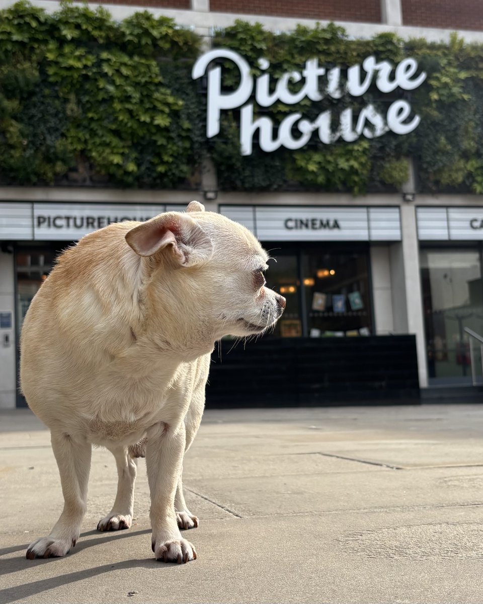 Epsom Picturehouse tweet media