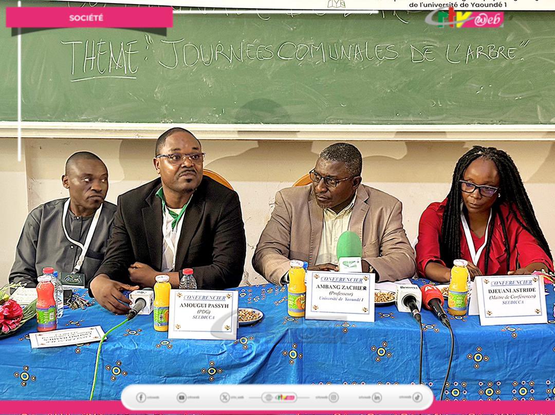 CRTV_web's tweet image. La première édition des « Journées communales de l’arbre » sera bientôt déployée dans 16 communes du Cameroun. Parrainée par le #MINFOF et mise en œuvre par la “Seed Interprofession and Consulting of Central Africa (SEDDICA)”,