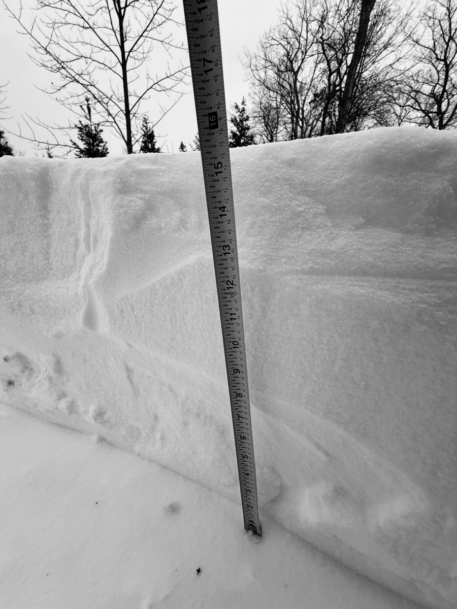 James Walker tweet media