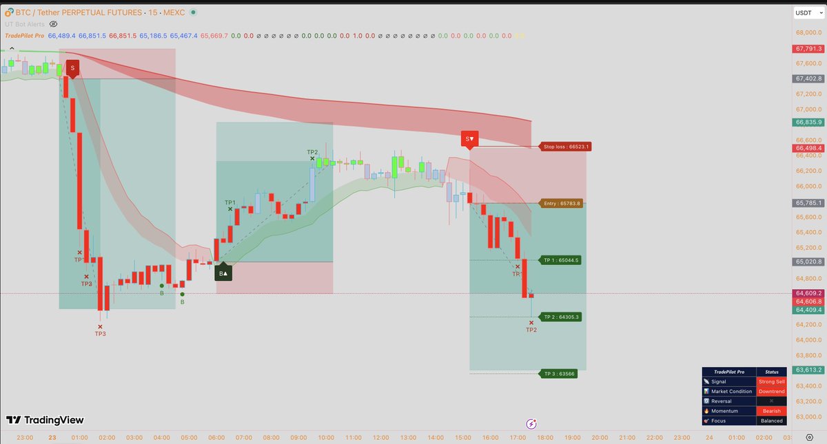 🦖WAGMISAURUS REX🦖 tweet media