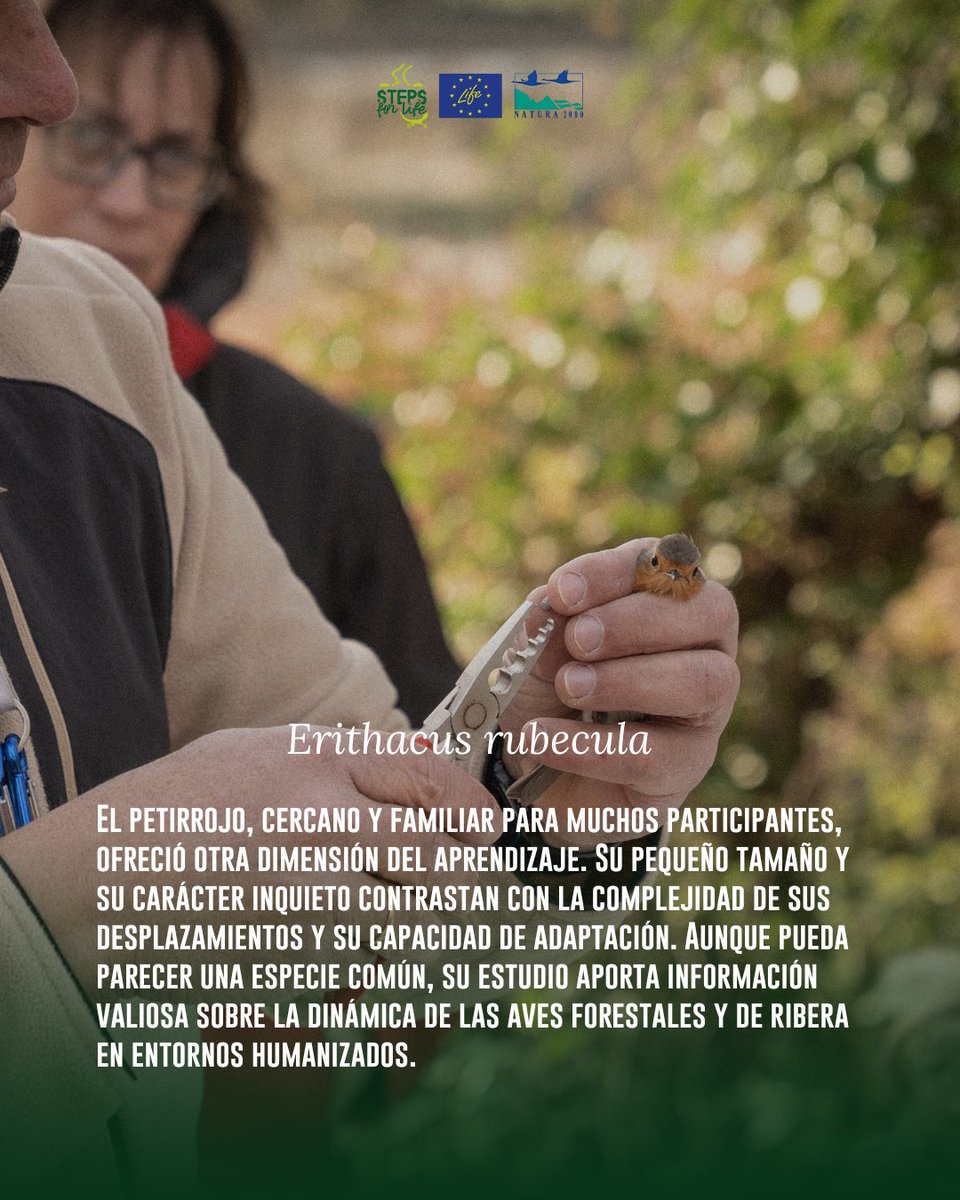 Steps for LIFE tweet media