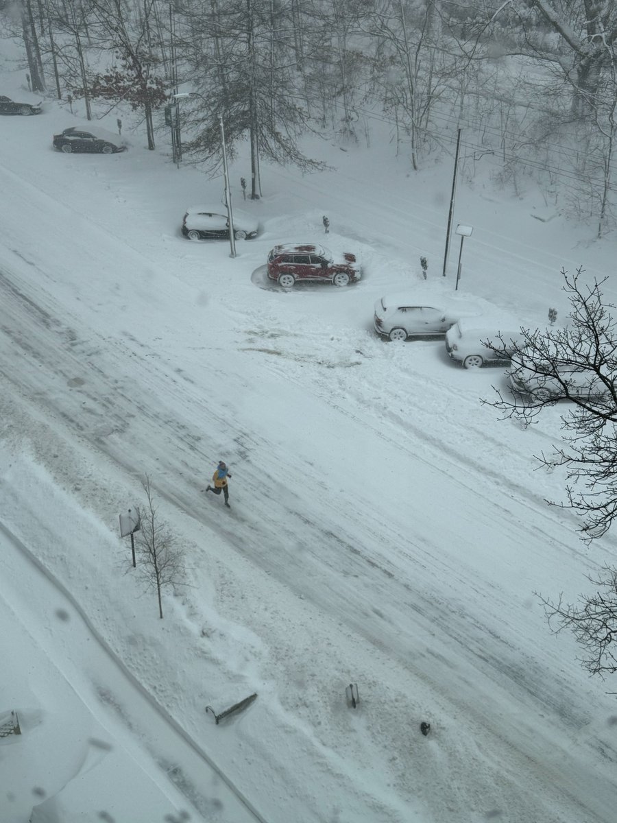 Only In Boston tweet media