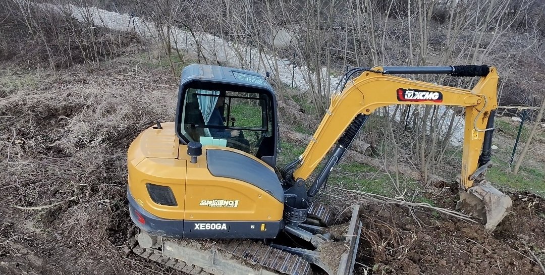 Krče šumu Bajdina i obaraju stabla!

Alavi divljaci.
Šuma koja tiho i polako nestaje.