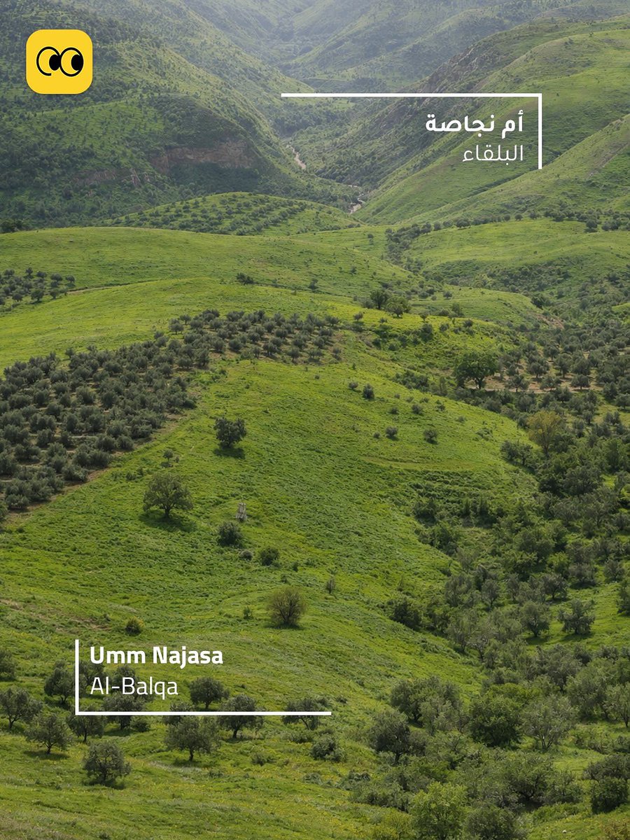 spirit_ofjordan's tweet photo. بعض الصور من اماكن في الاردن اكسبوا زيارتها ❤️ 
#الأردن_بعيون_أردنية https://t.co/hbNZgHdH0M