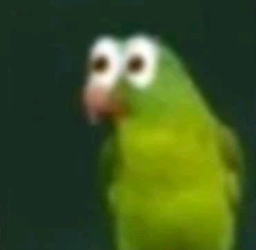 kogglyuffs of miketwt ✨ tweet media