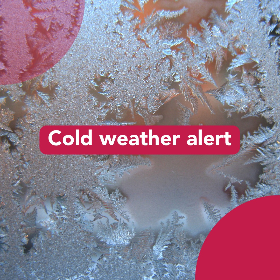 Southwestern Public Health tweet media