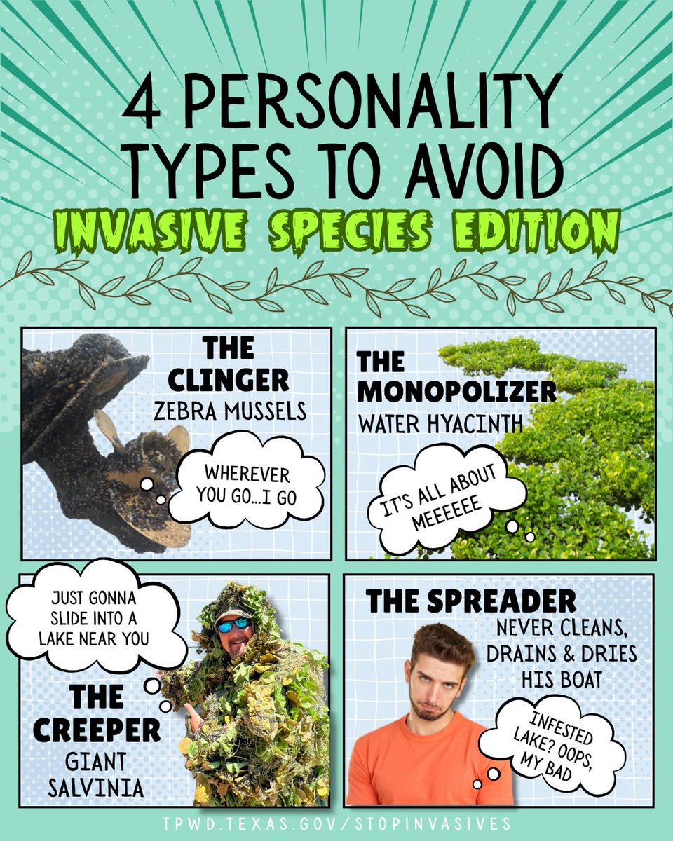 Texas Parks & Wildlife tweet media