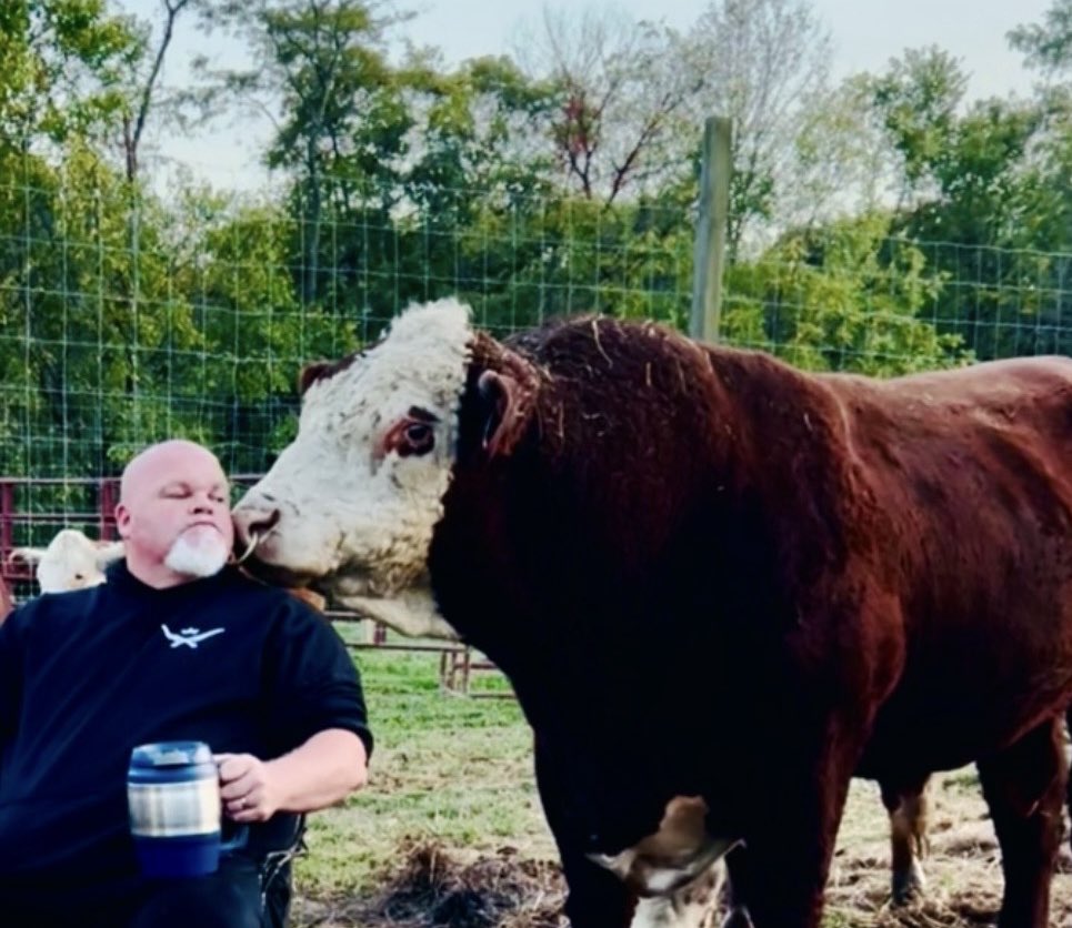 Dustin Goldie tweet media