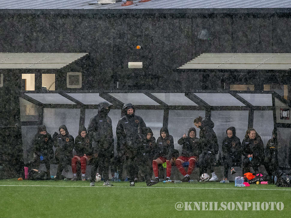 Kelly Neilson tweet media