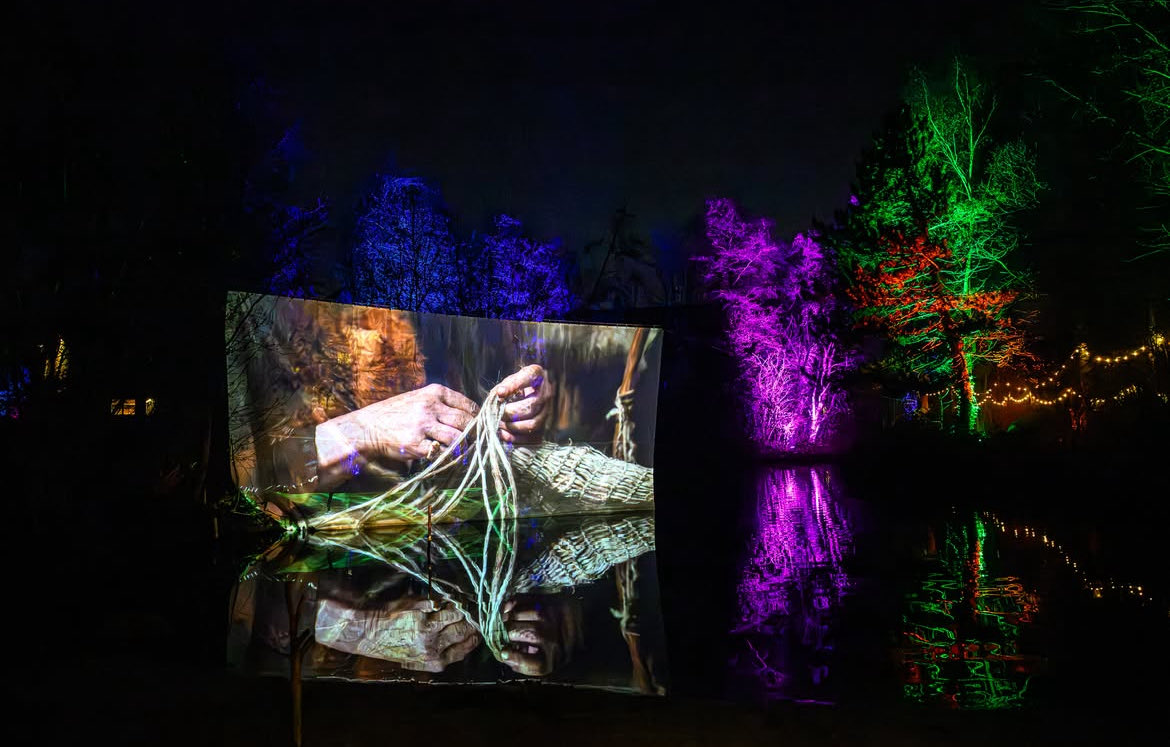 hans doderer tweet media