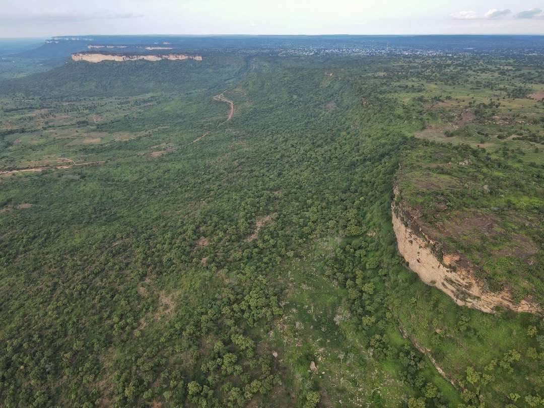 Creatizine Magazine tweet media