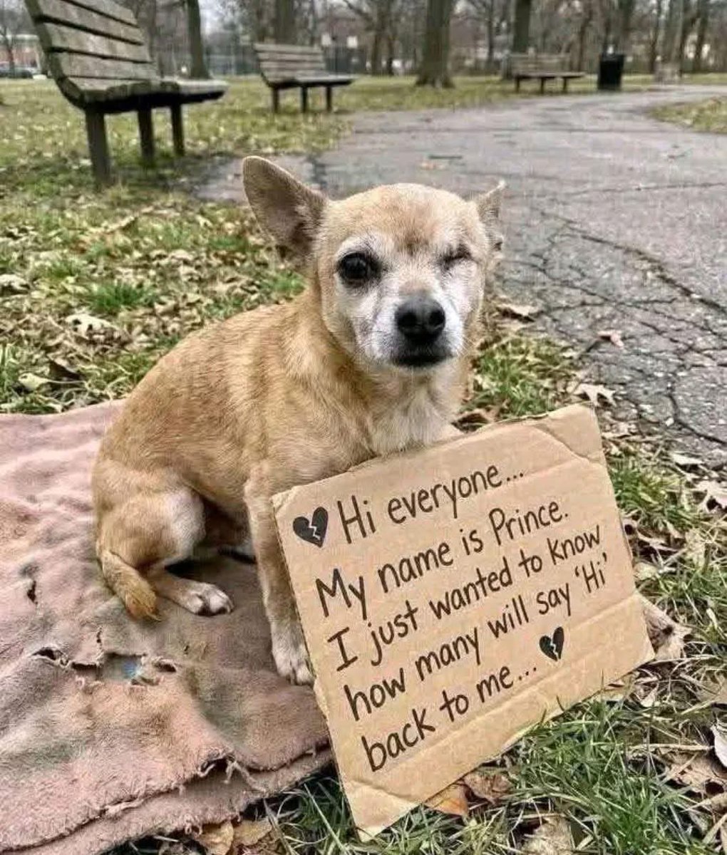 Kristina Bolten tweet media