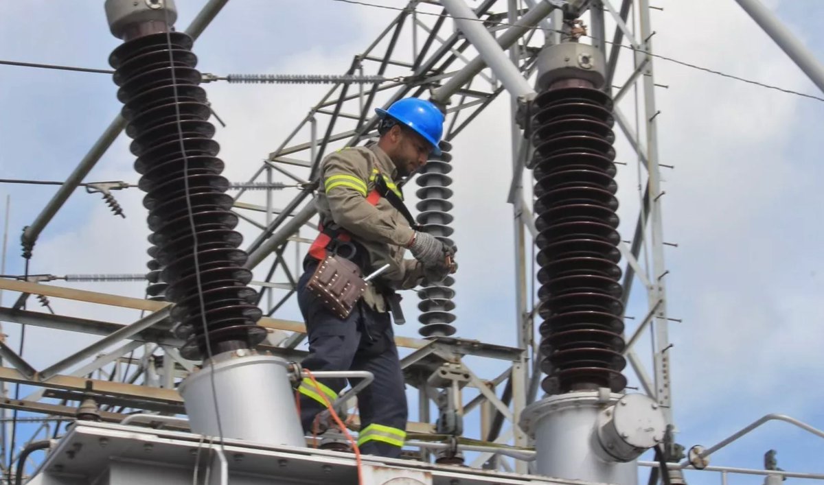 remolacha.net tweet media