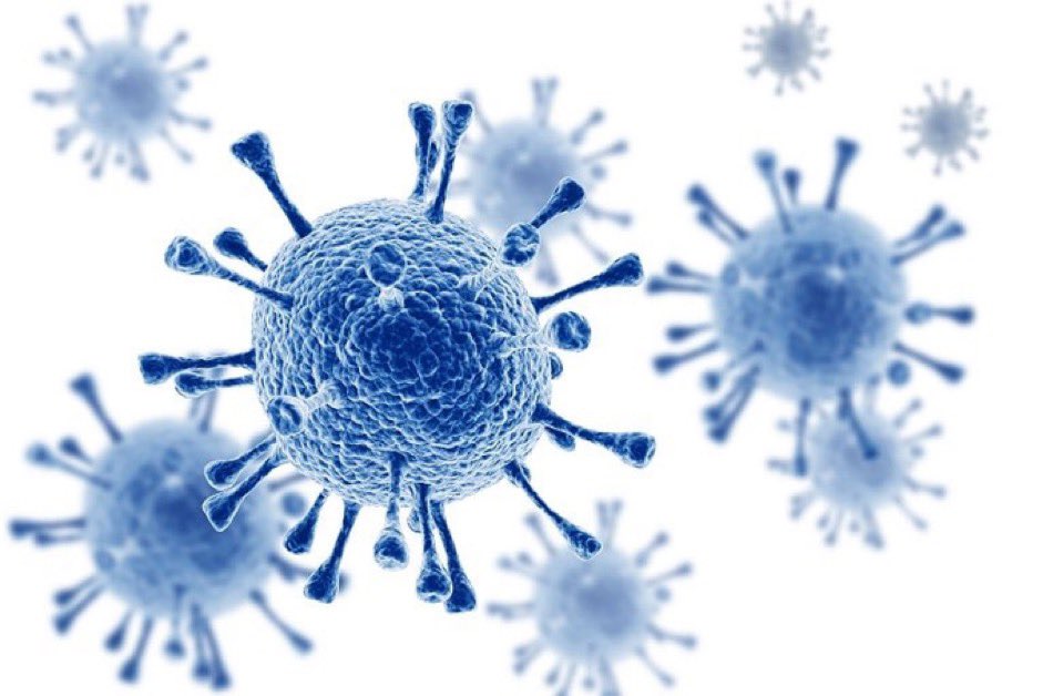 timastimee tweet picture