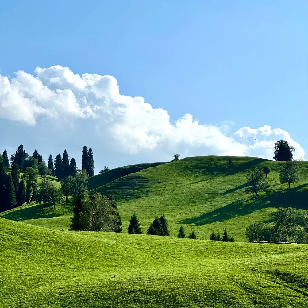 World Click (@worldclick56) on Twitter photo 