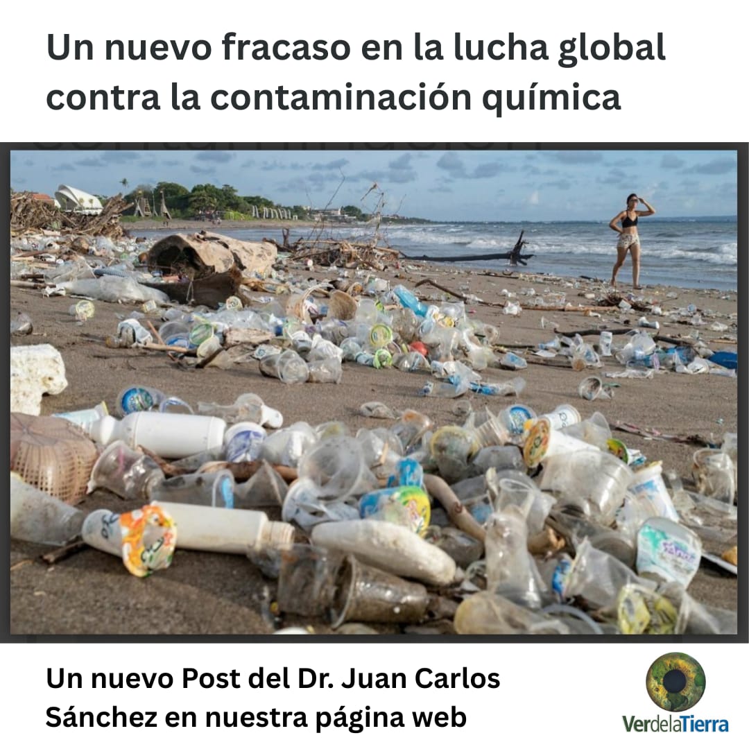 La 1era. Plenaria del Grupo Intergubernamental Científico-Normativo sobre Productos Químicos, Desechos y Contaminación (INCPPP), realizada en Ginebra del 2 al 6 Feb. generó grandes expectativas, pero finalizó sin avances concretos.

Post completo aquí:
verdelatierra.com/un-nuevo-fraca…