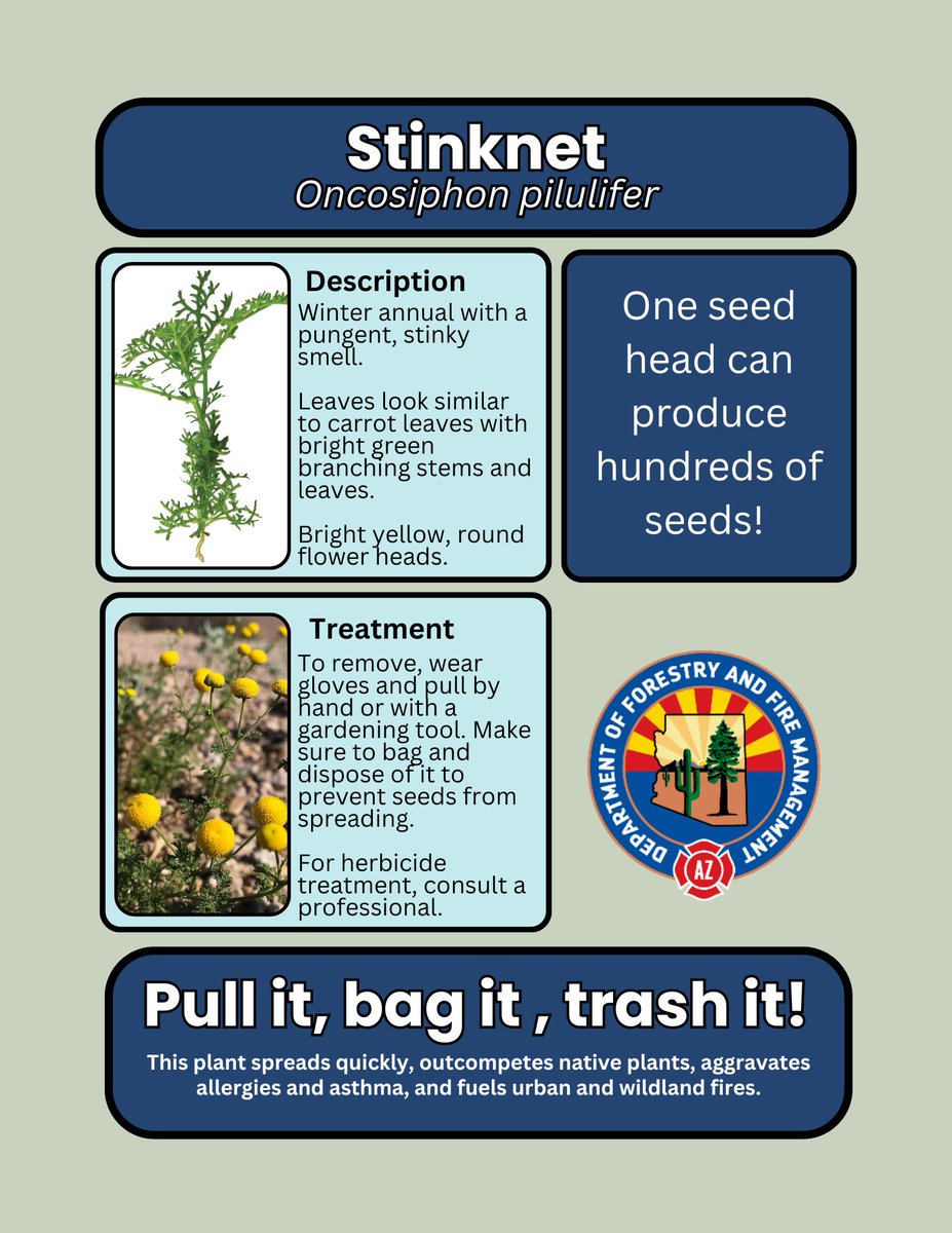 AZ Dept. Forestry and Fire Management tweet media