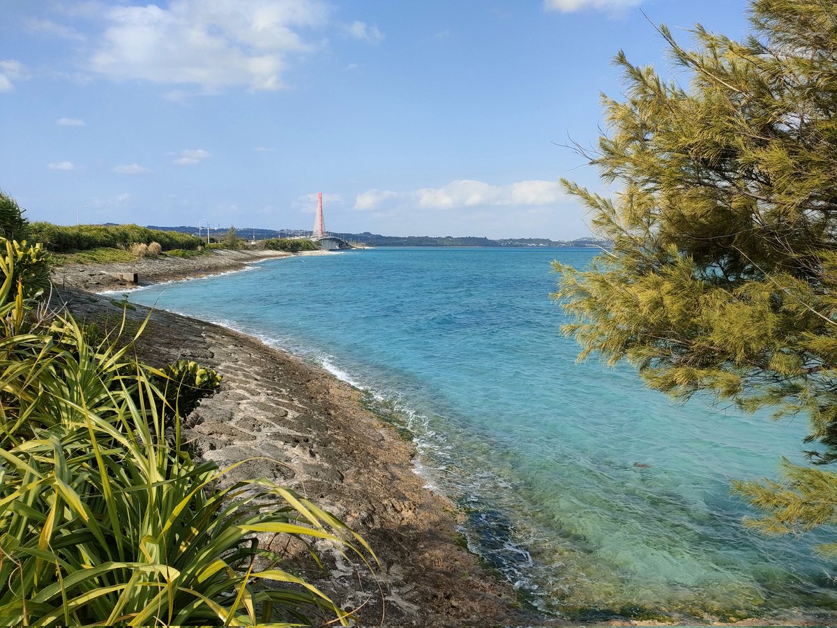 色白@やってみる勇気 tweet media