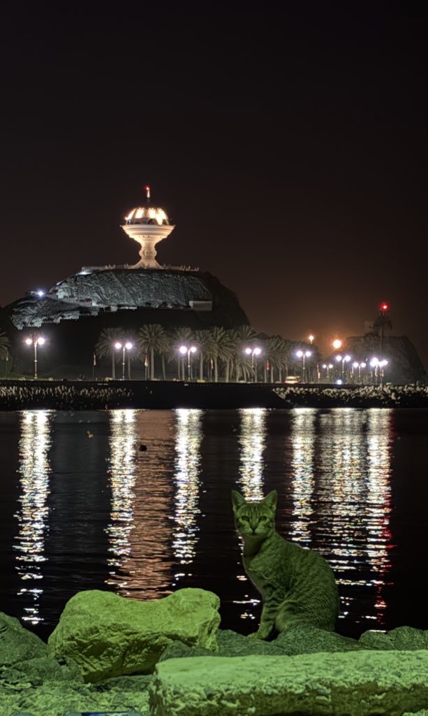 أحمد. tweet media