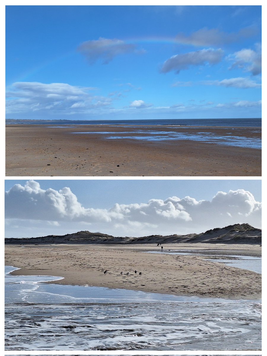 helendrinkstea's tweet image. Evening all, beautiful day at the beach yesterday for #SmallBeautiesHour complete with bonus Oyster Catchers #BecauseofClem #ThreadofGold #RubbishBirdPics