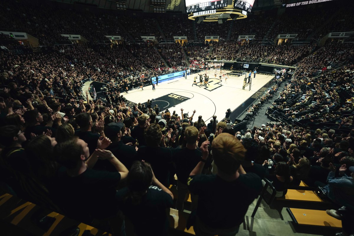Purdue Volleyball tweet media