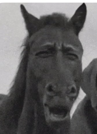 Ustaaa tarihin en iyi kasımpaşası ustaa nasıl yeneceksin 😂😂 #FBvKSP