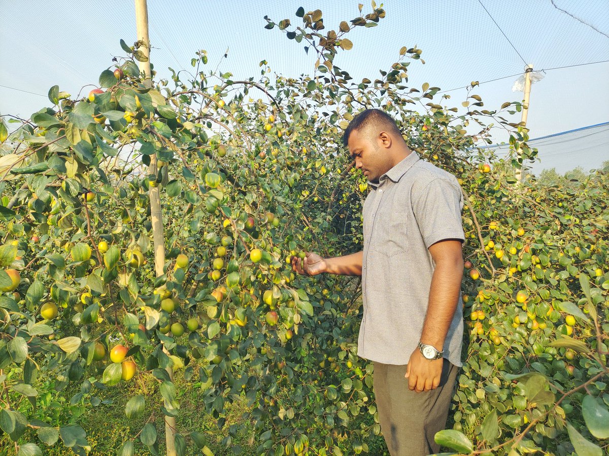 Today I went to visit my friend's plum orchard. I enjoyed many beautiful surroundings.

#Saificlam #Saifislam