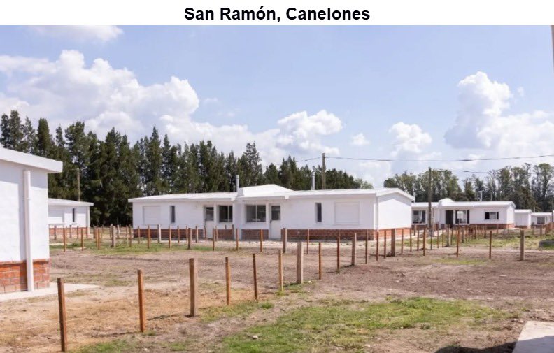 Amin Niffouri Blanco tweet media