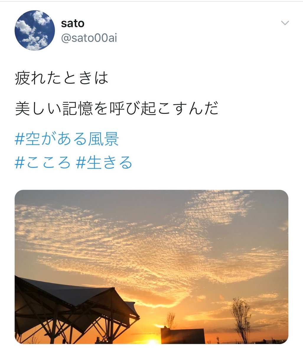 フ ラ ン @読書/写真/生態 (@camera1115) / Posts / X