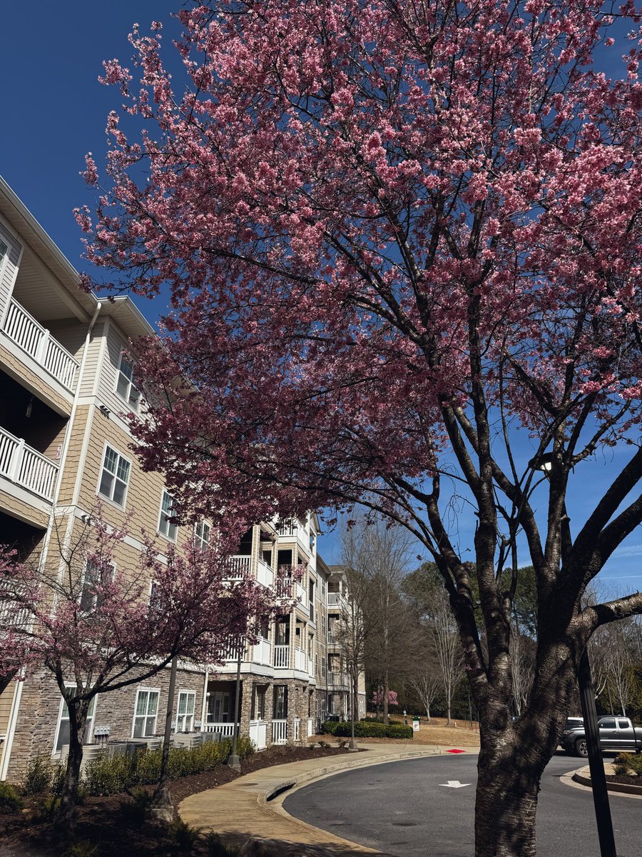 The Lodge at BridgeMill tweet media