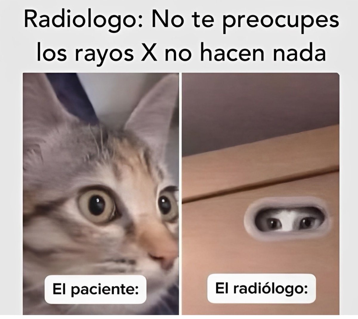 AySeñorQueNosComenLosMonguers (@bocatajamonehm) on Twitter photo 