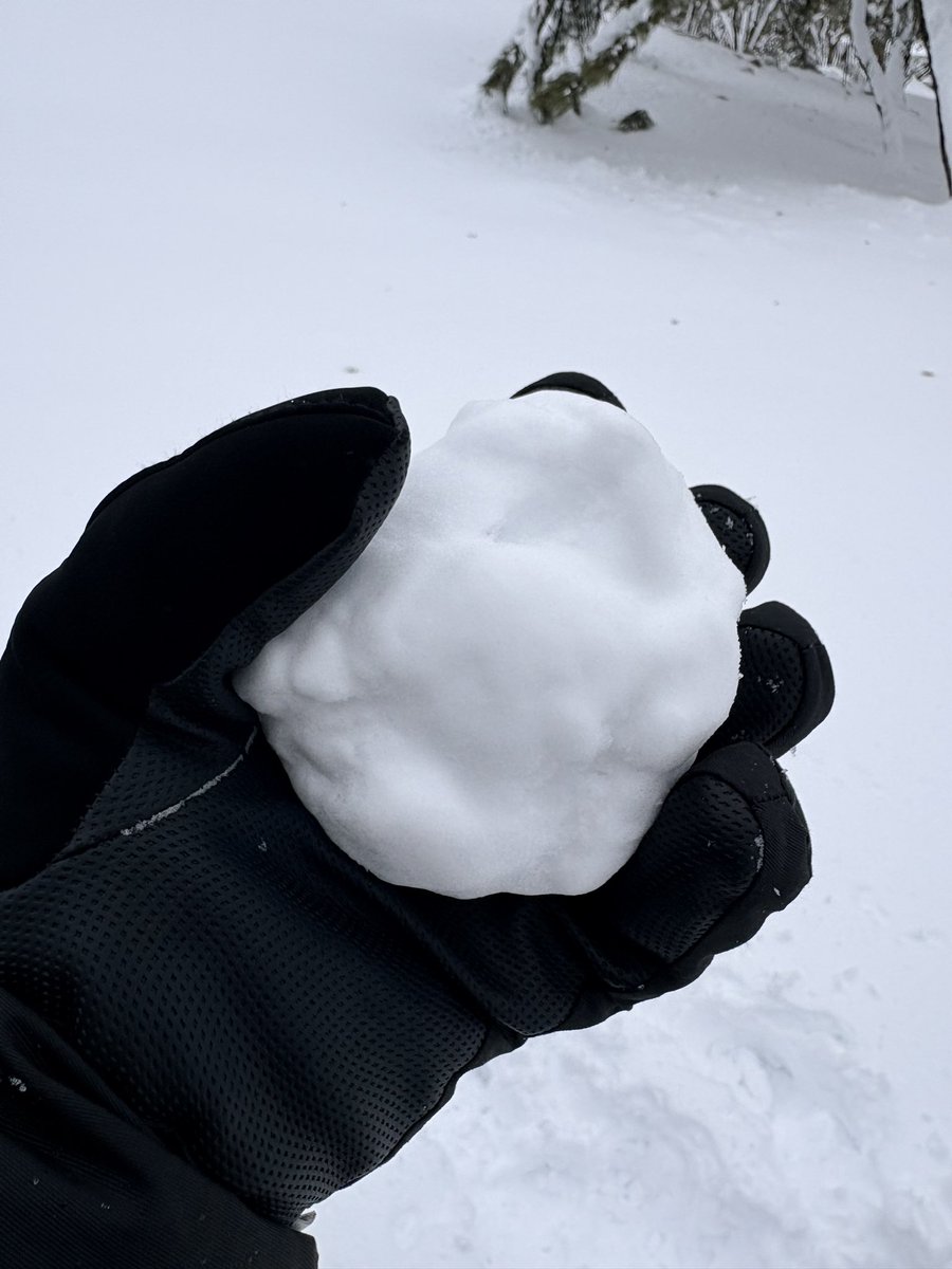 4Evashook's tweet image. Terrible shoveling snow, amazing snowball snow. #NJsnow