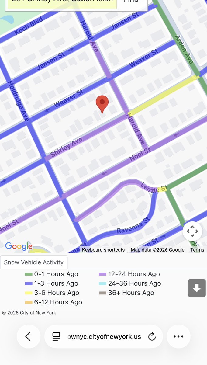 Joe Borelli tweet media