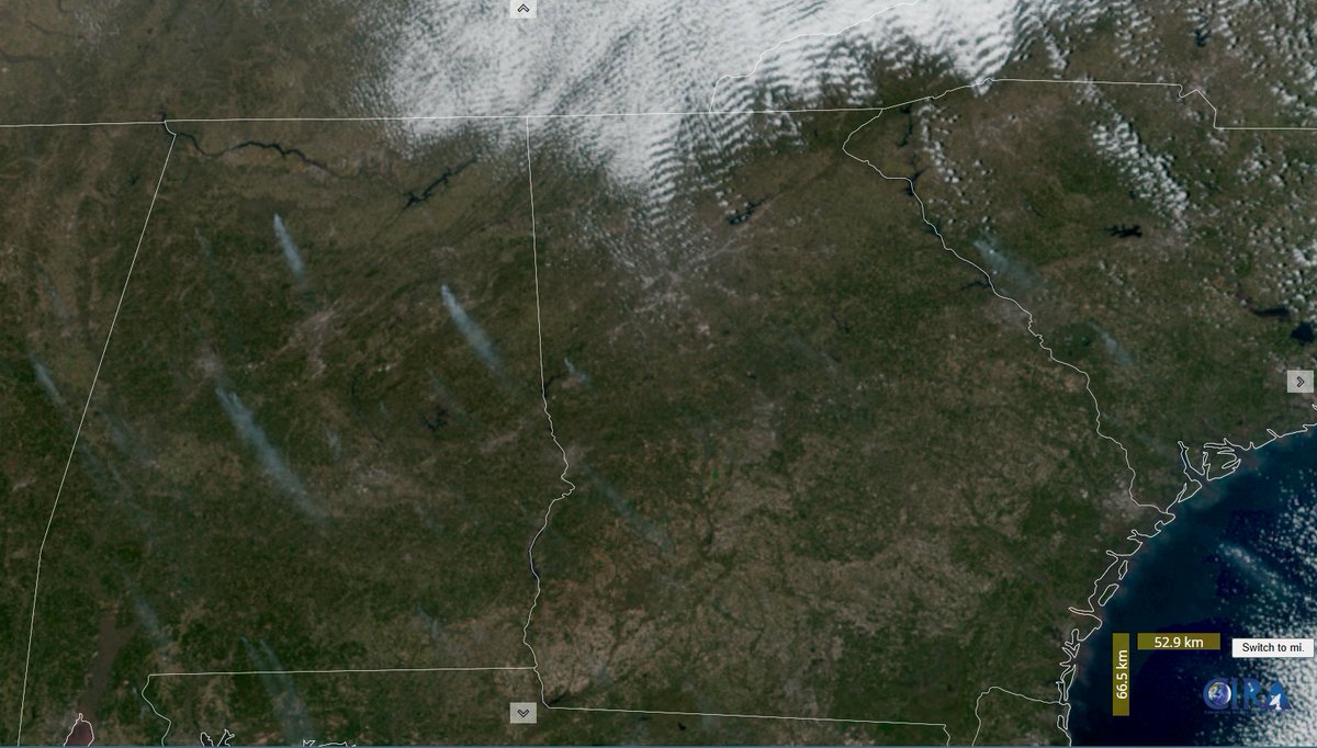 skywatcher77's tweet image. It looks like several 1000+ acre prescribed burns are burning really well today in Alabama! There's also a few prescribed burns in South Carolina. There may also be a few non-prescribed burns showing up as well. #ALfire #SCfire