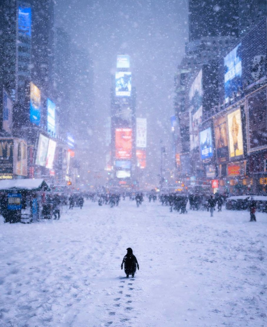 NietzscheanSol_'s tweet photo. This snow storm really has New Yorkers moving around like the Penguin. 🐧 https://t.co/T9mvg38H9r