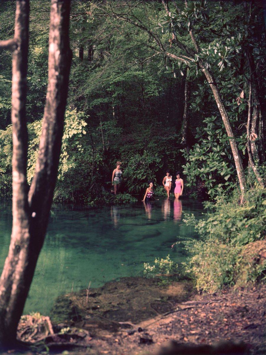 Florida Memory tweet media