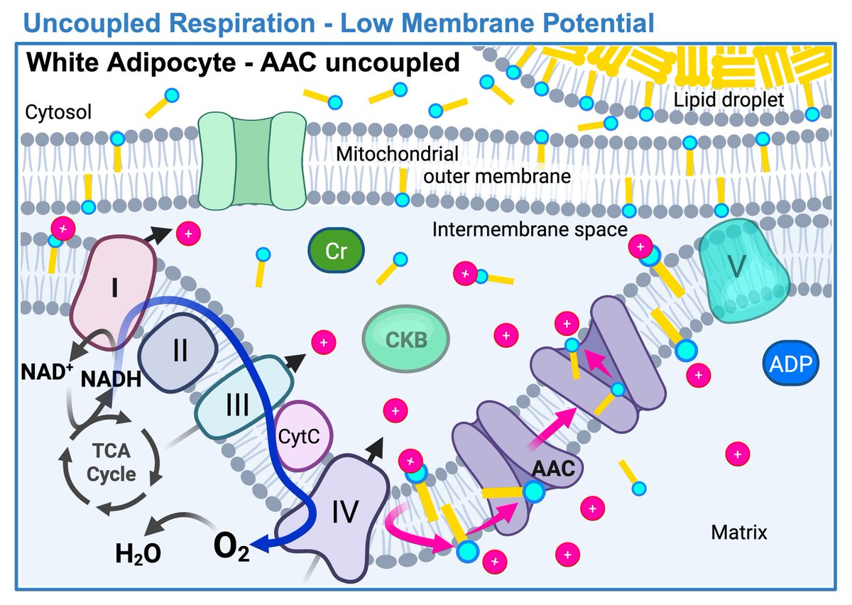 Shannon Reilly tweet media