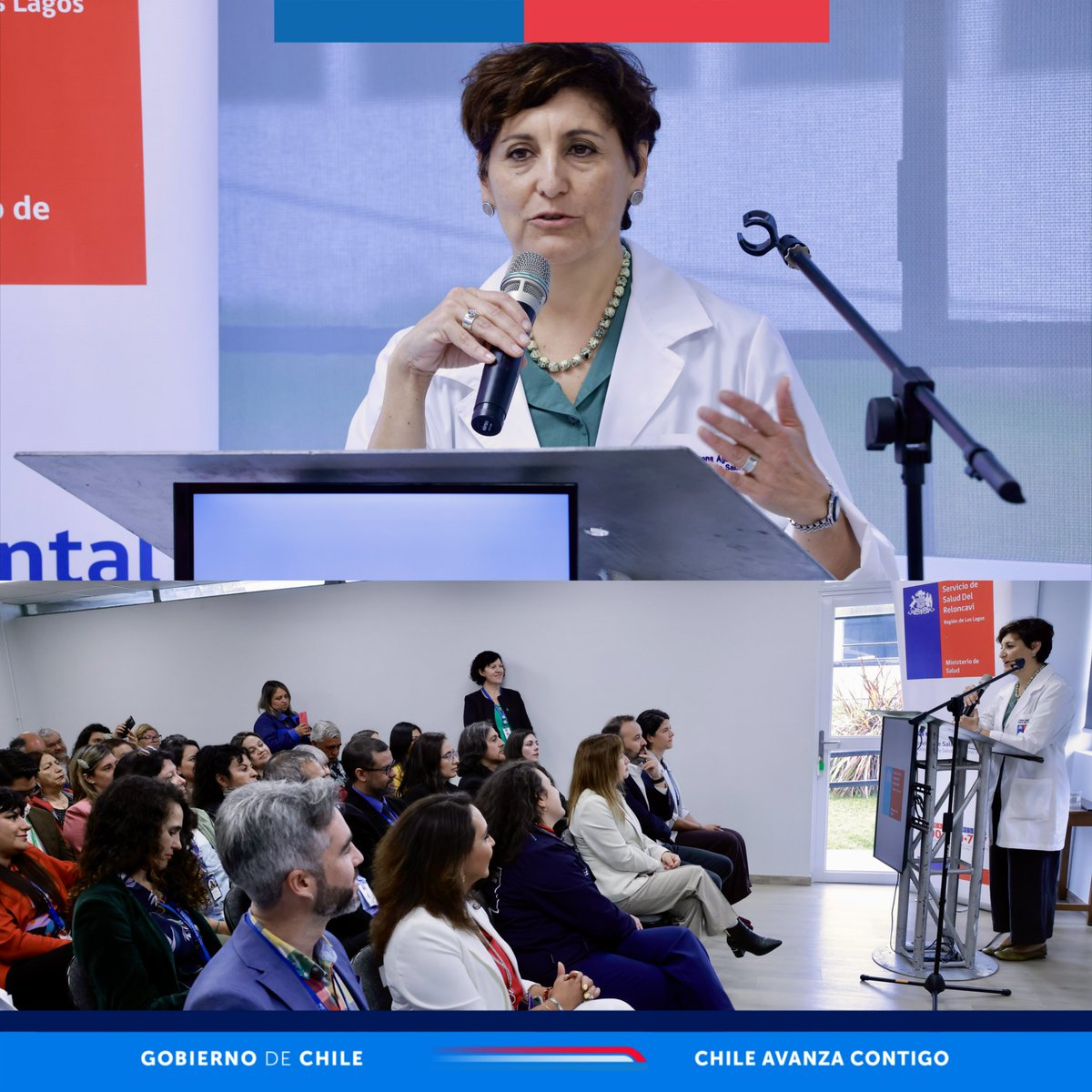 Seremi Salud Los Lagos tweet media